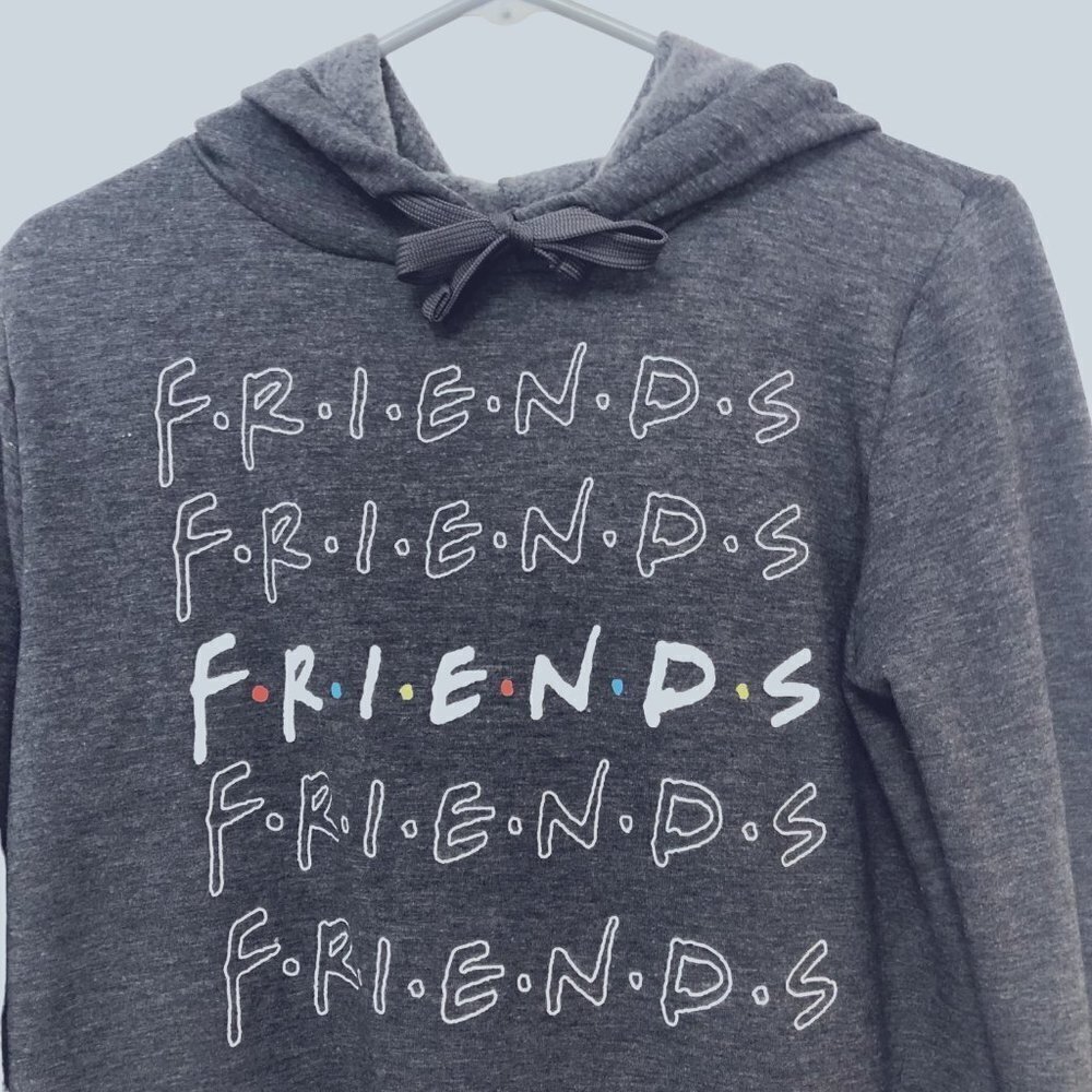 FRIENDS Cropped Hoodie Size Small Gray with Logo Super Soft Long Sleeve EUC